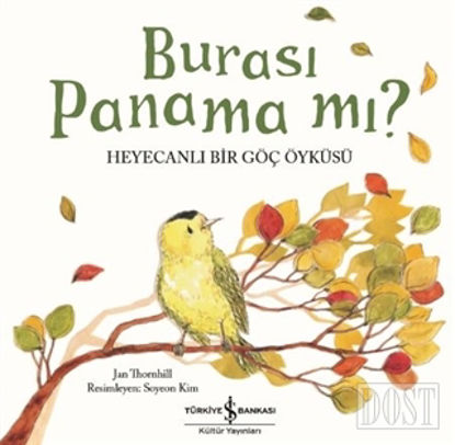 Burası Panama mı?